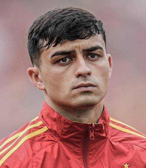 世俱杯冠军-不伦瑞克球员表现出色,胜利的阴影下的简单介绍