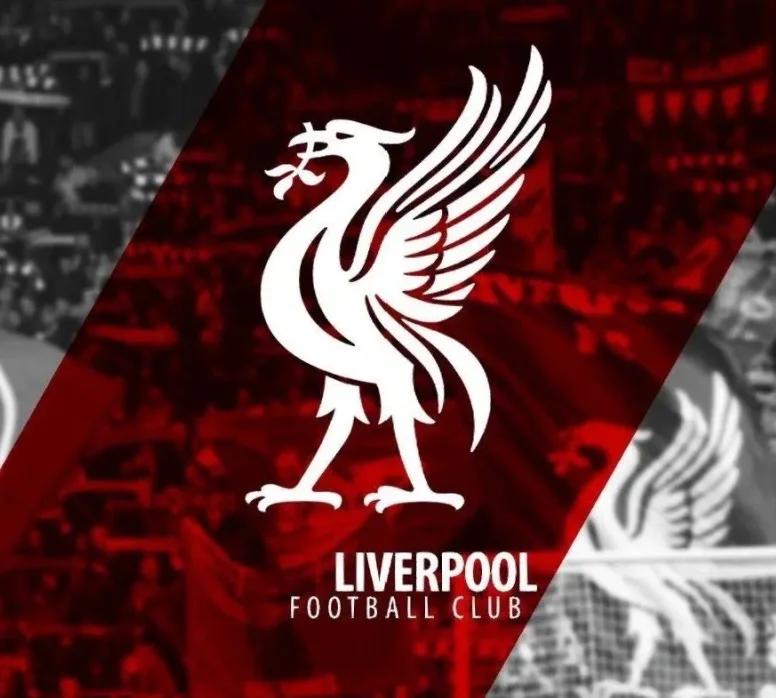 世俱杯参赛资格-包含莱切斯特城主场击败利物浦,夺得宝贵积分的词条