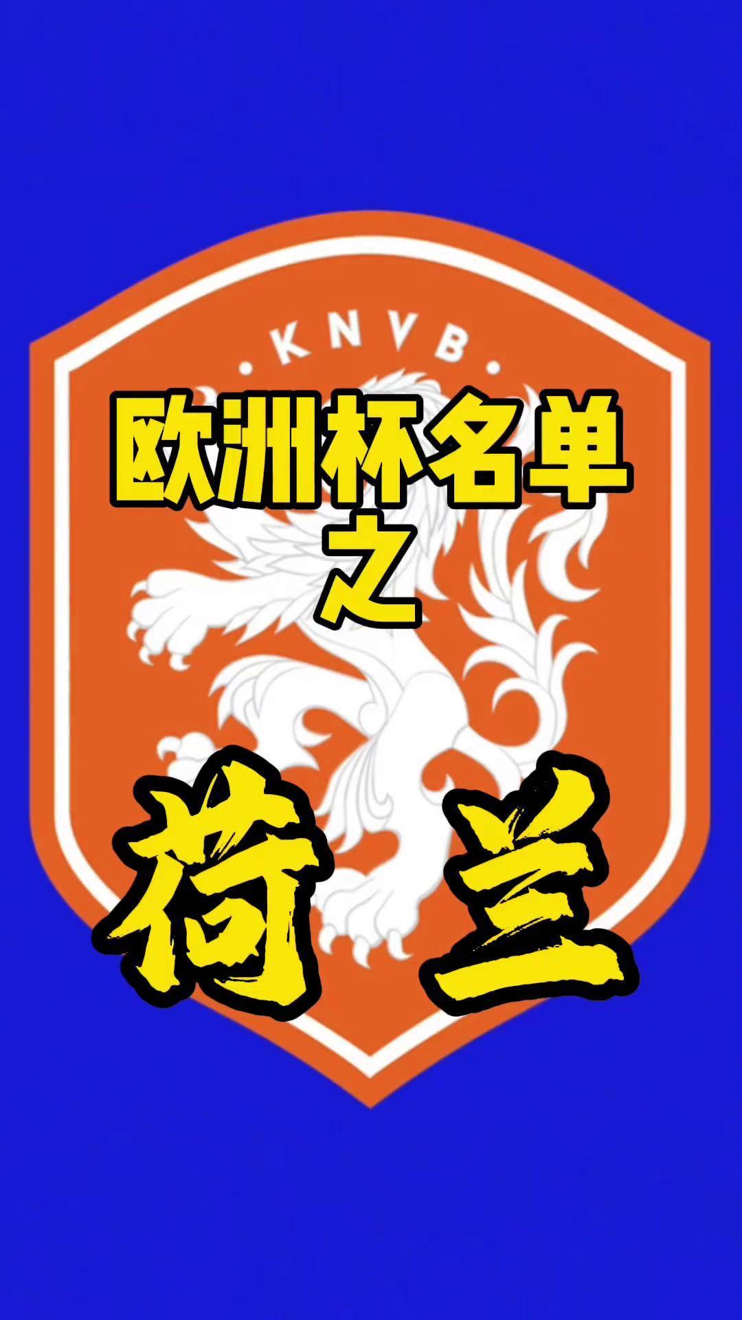 荷兰队长被提名FIFA最佳球员奖项 荷兰队长被提名FIFA最佳球员奖项