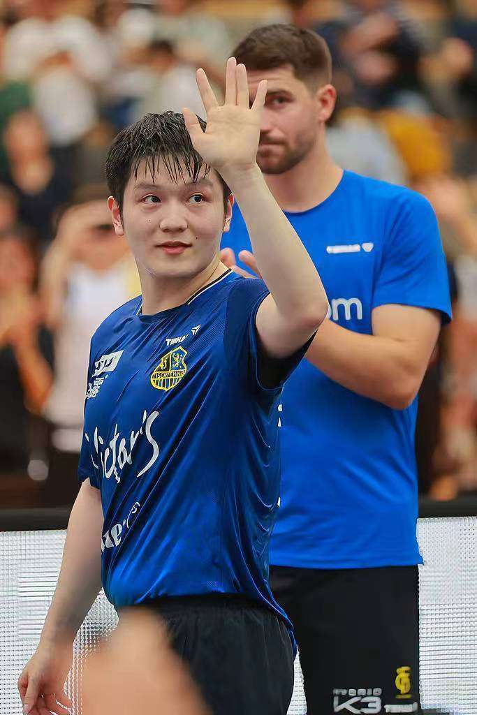 英格兰队轻取波兰队,樊振东扛起全队 英格兰队轻取波兰队,樊振东扛起全队